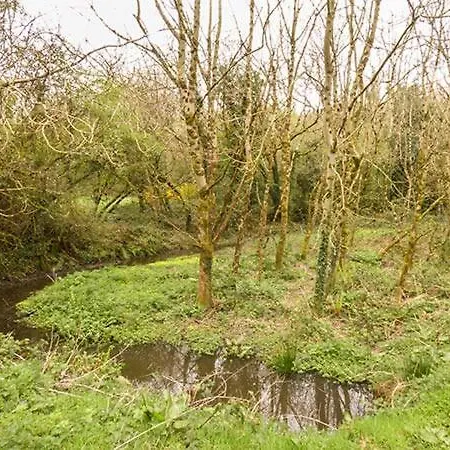 度假居 The Sanctuary *